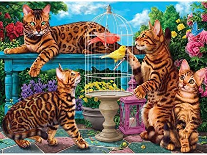 bengal_cats.jpg