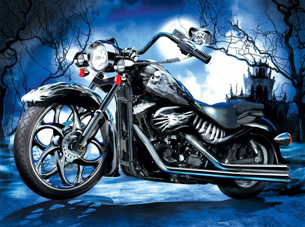 jim-todd-skeleton-ride-jigsaw-puzzle-1000-pieces.65872-1_.fs_.jpg