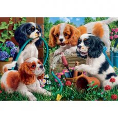 Corner Pieces - 500 darabos - Playful puppies (D40)