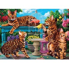 Corner Pieces - 500 darabos - Bengal cats (D42)