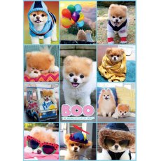 Buffalo - 500 darabos - Boo, the world' s cutest dog collage (H70)