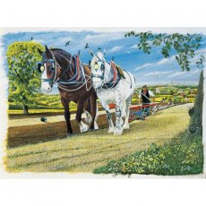 JHG Puzzles - 1000 darabos - Captain and Moonlight (649)