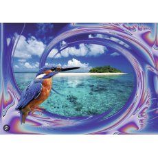 Ravensburger - 1000 darabos - 19190 - Beachy Bird (A67)